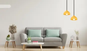 Popular Energy with our <br> newest collection